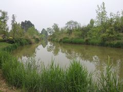 -白鹭湾湿地公园