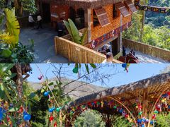 -西双版纳原始森林公园