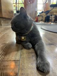 -青木造型HAIR·あおき髪を刈る潮人店