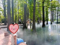 -东湖落雁景区