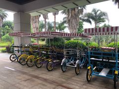 -福建鲤鱼洲酒店