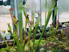 -国家植物园南园