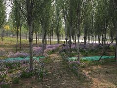 -东郊湿地公园
