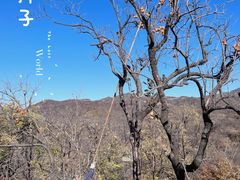 -水峪民俗村