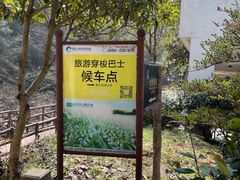 -黄山翡翠谷景区