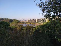 -飞凤山奥体公园