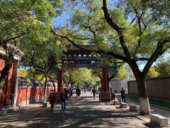 -北京国子监胡同
