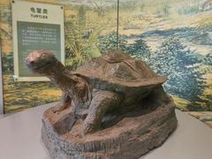 -自贡市盐业历史博物馆