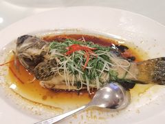 -新梅园不夜粥(龙华店)