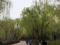 -灞河西岸滨河公园