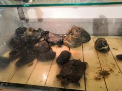 -甜心闲生传统手工冰粉(奎星楼店)