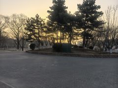 -大兴滨河森林公园