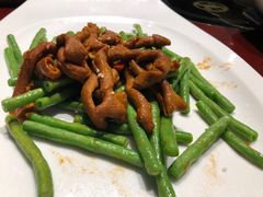 -大树头森林餐厅(番禺广场店)