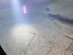 -白鹤梁水下博物馆