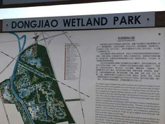 -东郊湿地公园