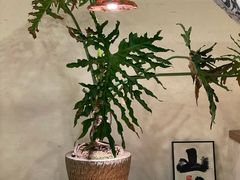 -荣记歡喜·馄饨铺(开发区振华购物中心店)
