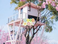 -福建鲤鱼洲酒店