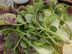 -菌乡缘·野生菌蒸汽鱼火锅(江边夜市店)