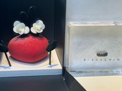 -BLACKSWAN黑天鹅(环球店)