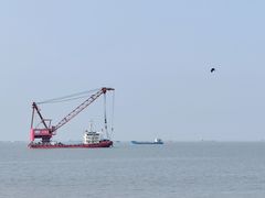 -上海滨江森林公园