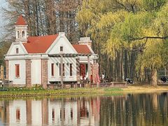 -上海共青森林公园