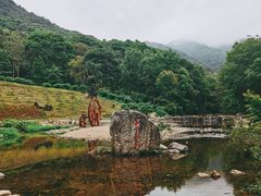 -广州市石门国家森林公园