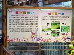 -上海大自然野生昆虫馆(东方明珠·爬宠昆虫探索中心)