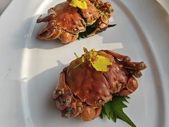 -食悦江南·淮扬菜·烤鸭(亚运村·惠新店)