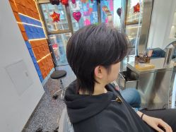 -飞梵造型
