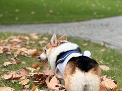 -西北湖绿化广场