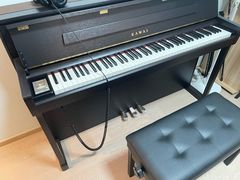 -柏斯琴行(汾阳店)