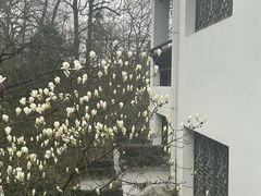 -敬亭山风景名胜区