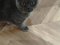 -Rabbit Cafe私房西餐甜点咖啡(栖霞路店)