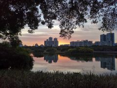 -南宁南湖公园