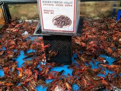-盒马鲜生(曜一城店)