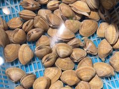 -蓝珊瑚蒸汽海鲜餐厅(龙奥店)
