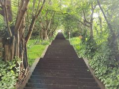-海口火山口国家地质公园