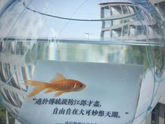 -知美术馆