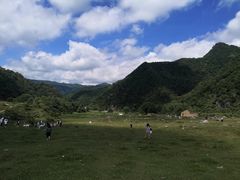 -狮子沟牧场