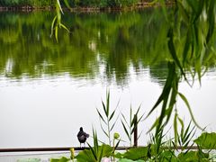 -朝阳公园