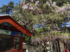 -红螺寺
