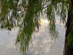 -海珠湖公园
