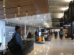 -蒙特利尔皮埃尔·埃利奥特·特鲁多国际机场