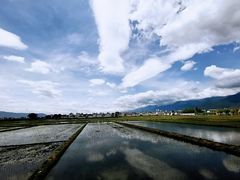 -喜林苑·稻田餐厅(品相府店)