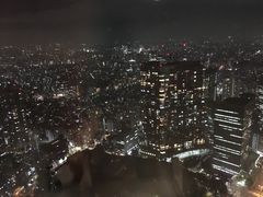 -东京都厅舍