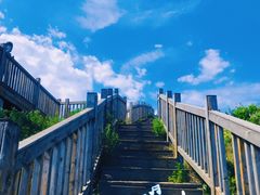 -白草畔自然风景区