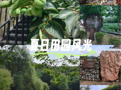 -大连北马山庄