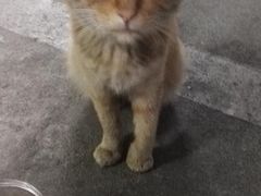 -康乐宝动物医院