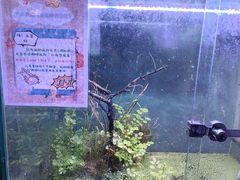 -上海大自然野生昆虫馆