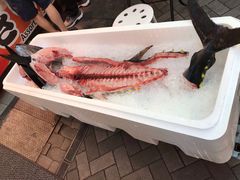 -大起水产回转寿司(道顿堀店)